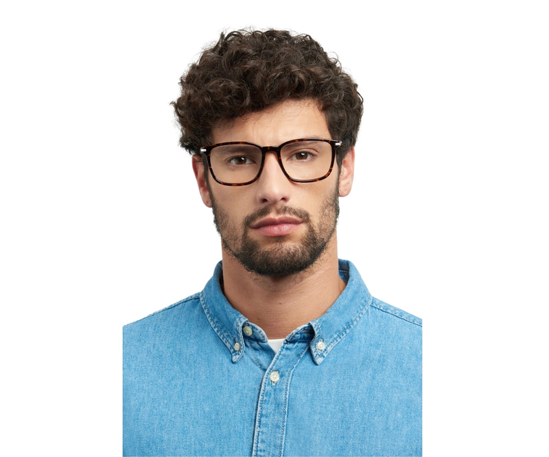 Carrera_Glasses_292_086_53_model 1