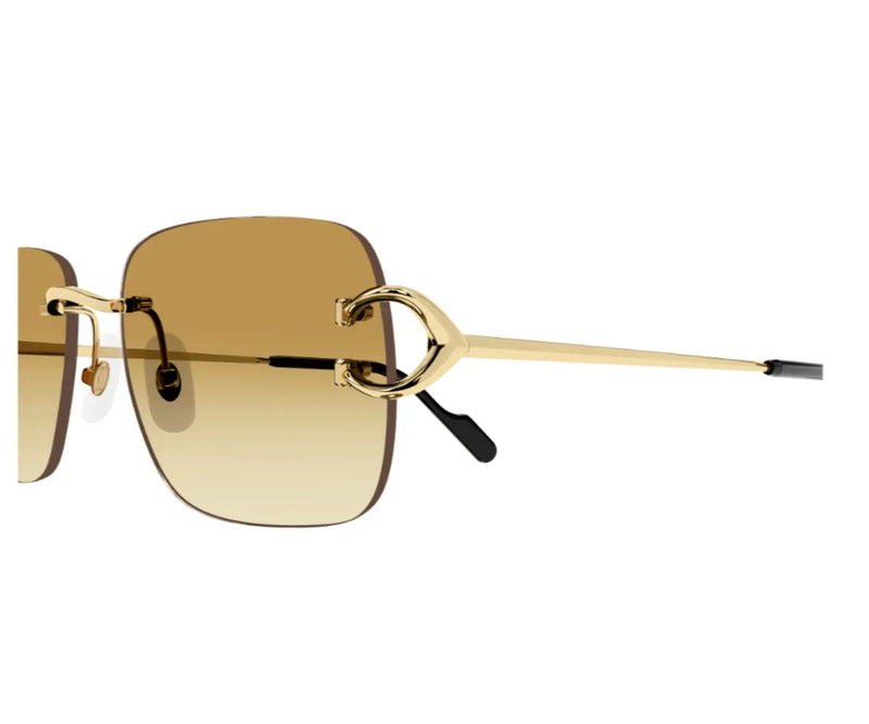 Cartier_Sunglasses_0330S_003_57_close up