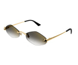 Cartier 0433S 001 55