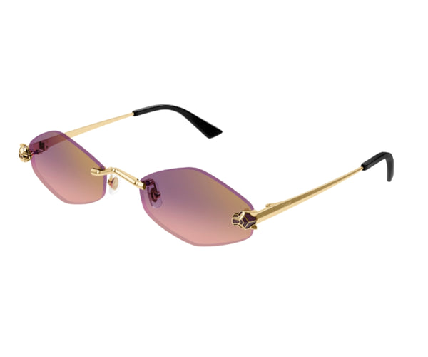 Cartier_Sunglasses_0433S_004_55_45
