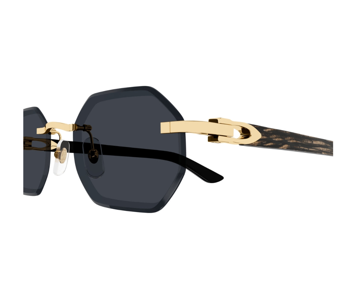 Cartier_Sunglasses_0439S_001_54_closeup