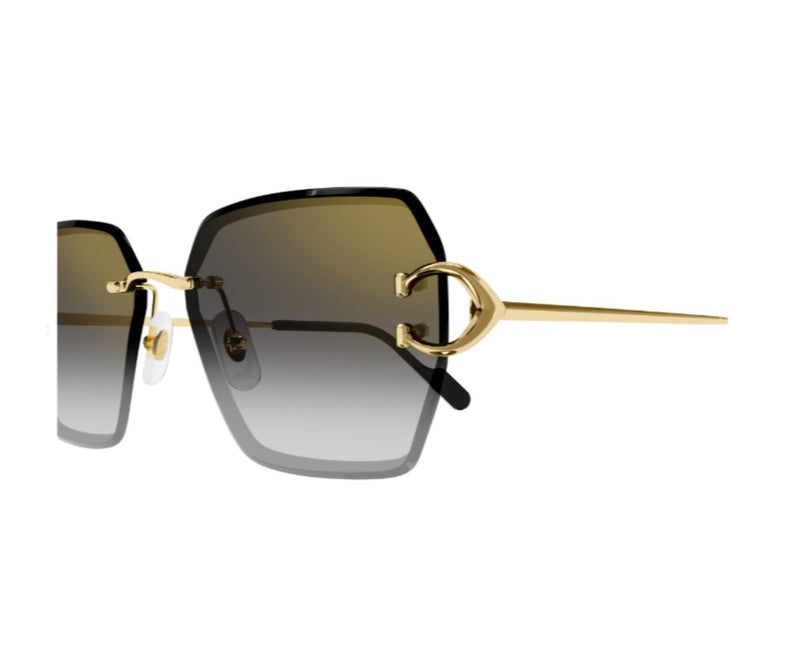 Cartier_Sunglasses_0466S_001_58_close up