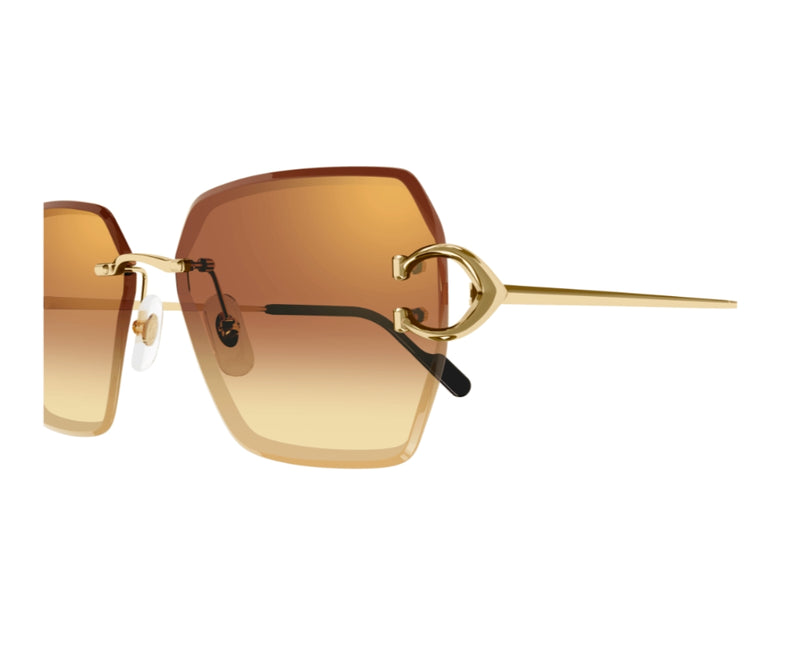 Cartier_Sunglasses_0466S_004_58_close up