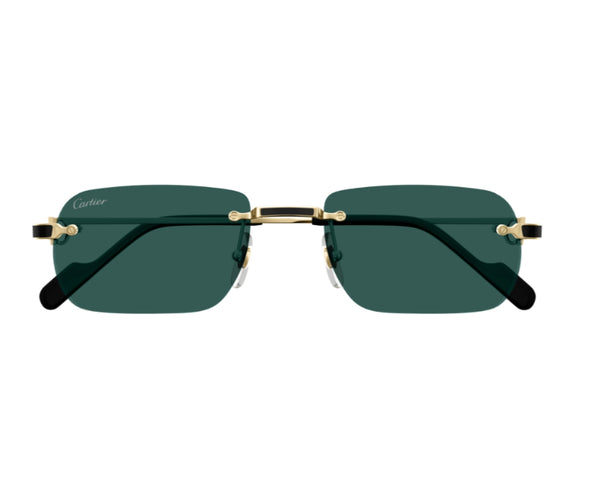 Cartier_Sunglasses_0498S_003_55_0