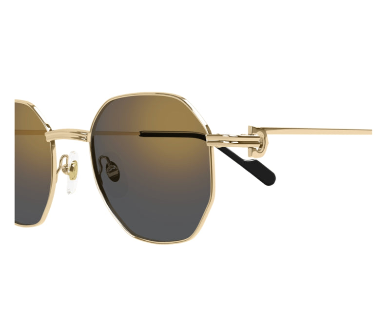 Cartier_Sunglasses_0500S_001_50_close up