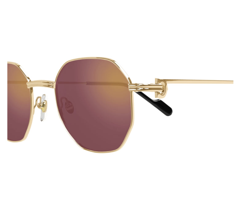 Cartier_Sunglasses_0500S_002_50_close up