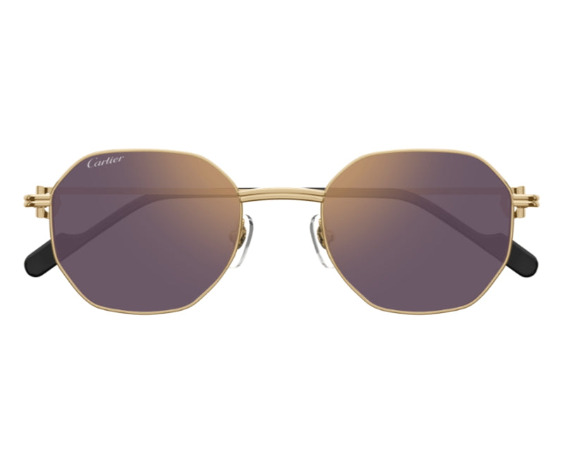 Cartier_Sunglasses_0500S_004_50_0