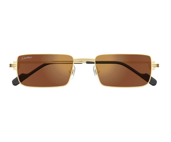 Cartier_Sunglasses_0501S_006_54_0