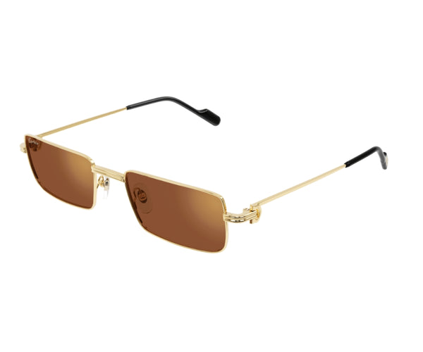 Cartier_Sunglasses_0501S_006_54_3045