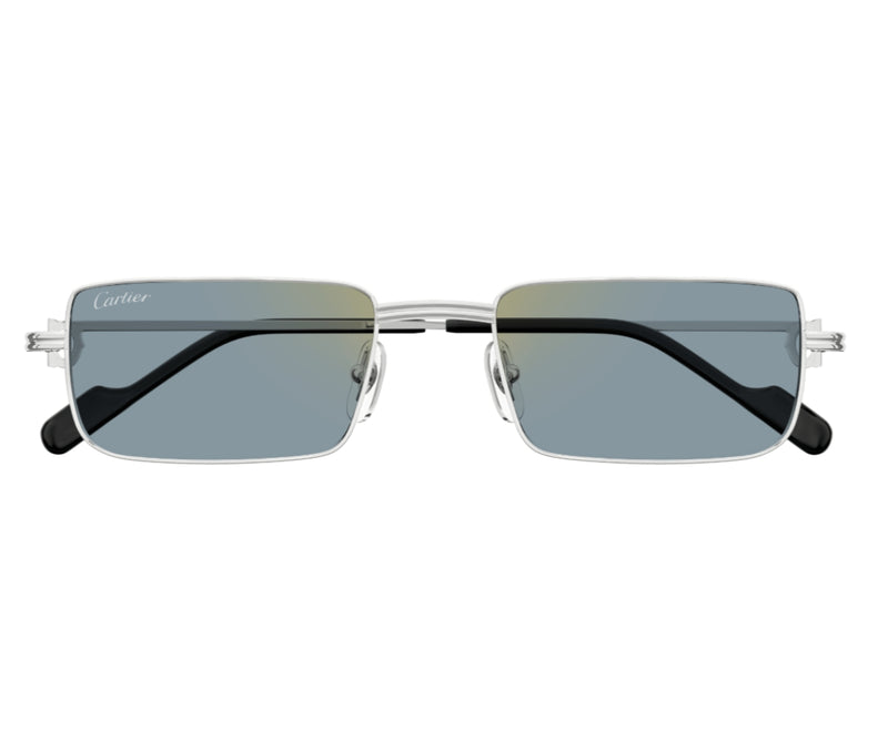 Cartier_Sunglasses_0501S_008_54_0