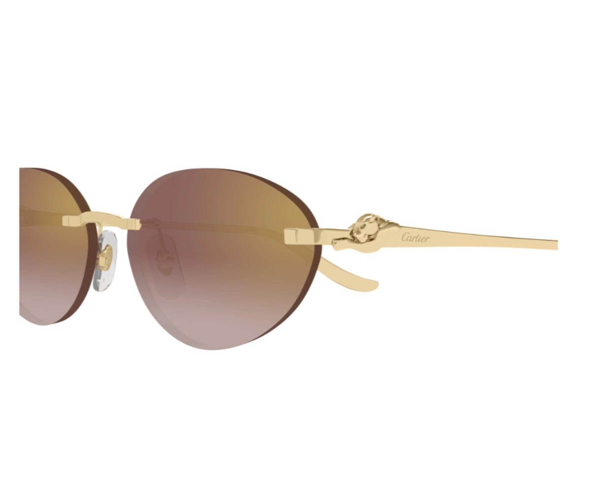 Cartier_Sunglasses_0504S_002_58_close up
