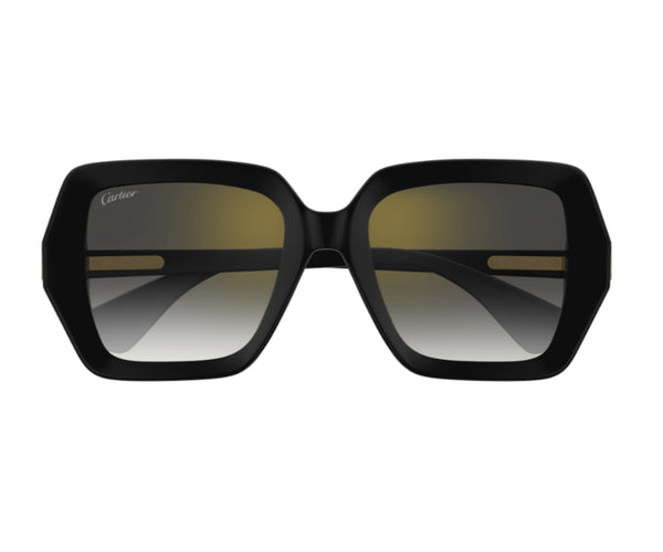 Cartier_Sunglasses_0507S_001_54_0