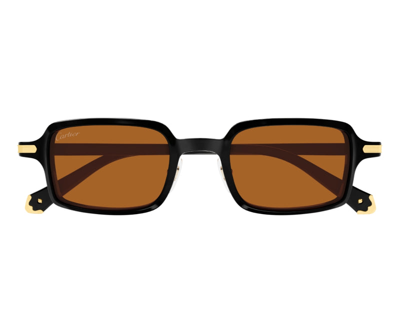 Cartier_Sunglasses_0539S_003_49_0