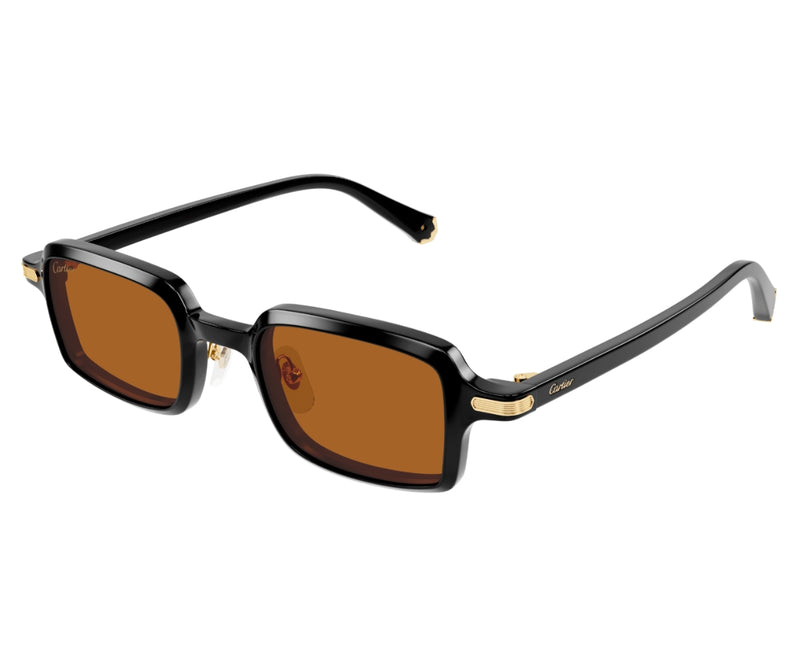 Cartier_Sunglasses_0539S_003_49_3045