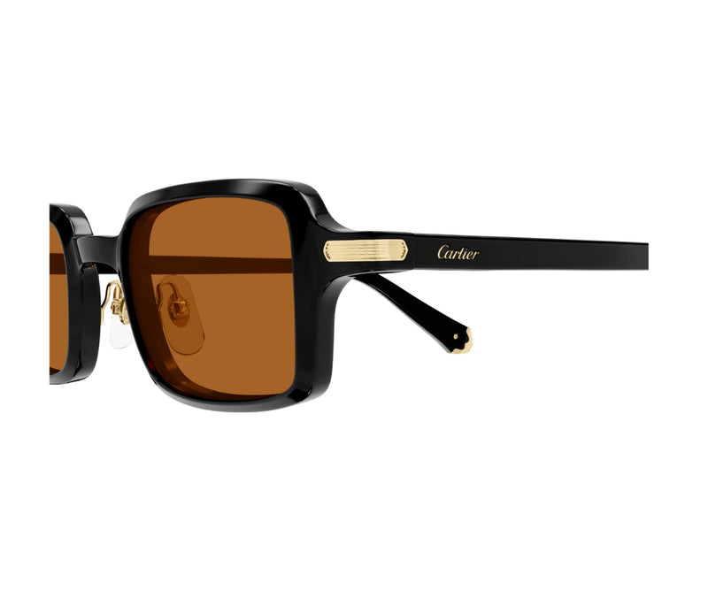 Cartier_Sunglasses_0539S_003_49_closeup