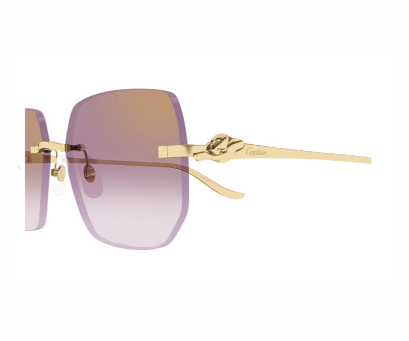 Cartier_Sunglasses_0549S_004_57_close up