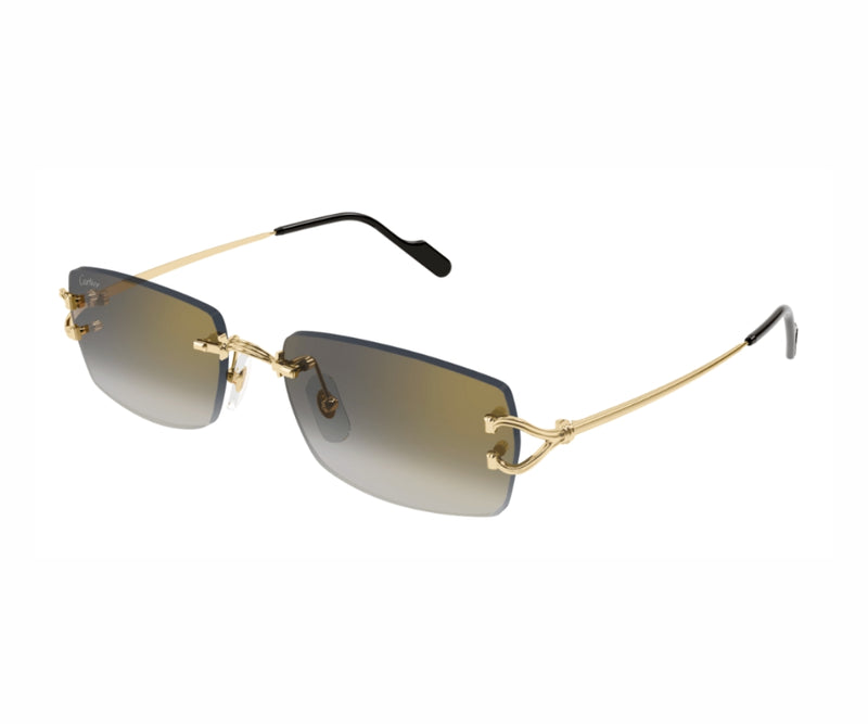 Cartier_Sunglasses_0550S_001_55_3045