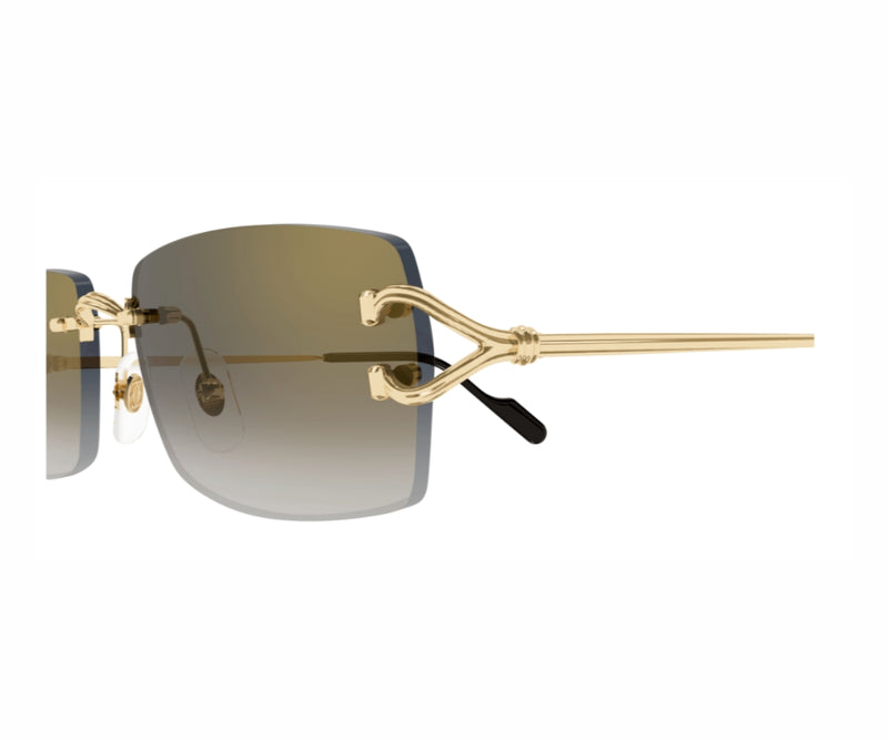 Cartier_Sunglasses_0550S_001_55_close up