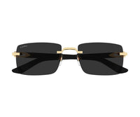 Cartier_Sunglasses_0579S_001_55_0 view 2