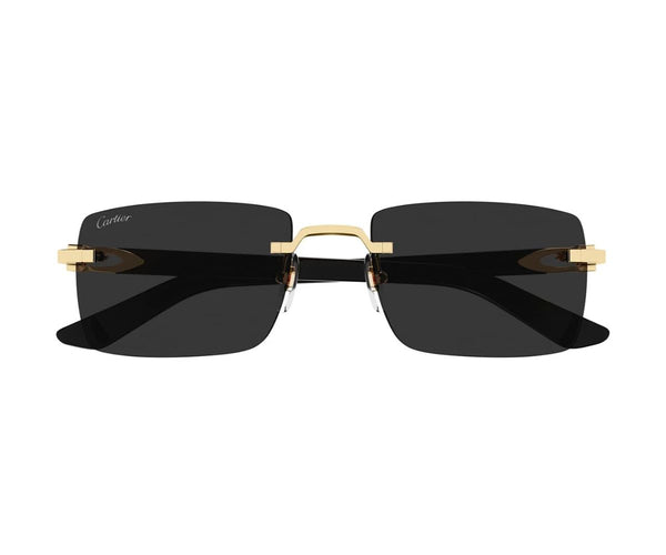 Cartier_Sunglasses_0579S_001_55_0