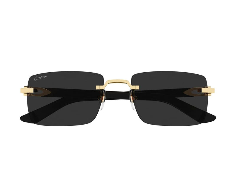 Cartier_Sunglasses_0579S_001_55_0