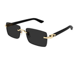 Cartier 0579S 001 55