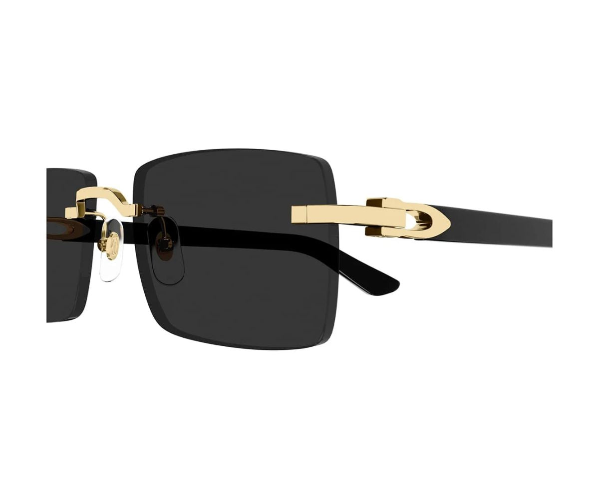 Cartier_Sunglasses_0579S_001_55_close up