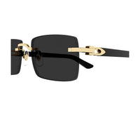 Cartier_Sunglasses_0579S_001_55_close up view 3