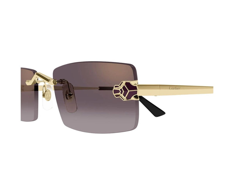 Cartier_Sunglasses_0598S_005_55_close up