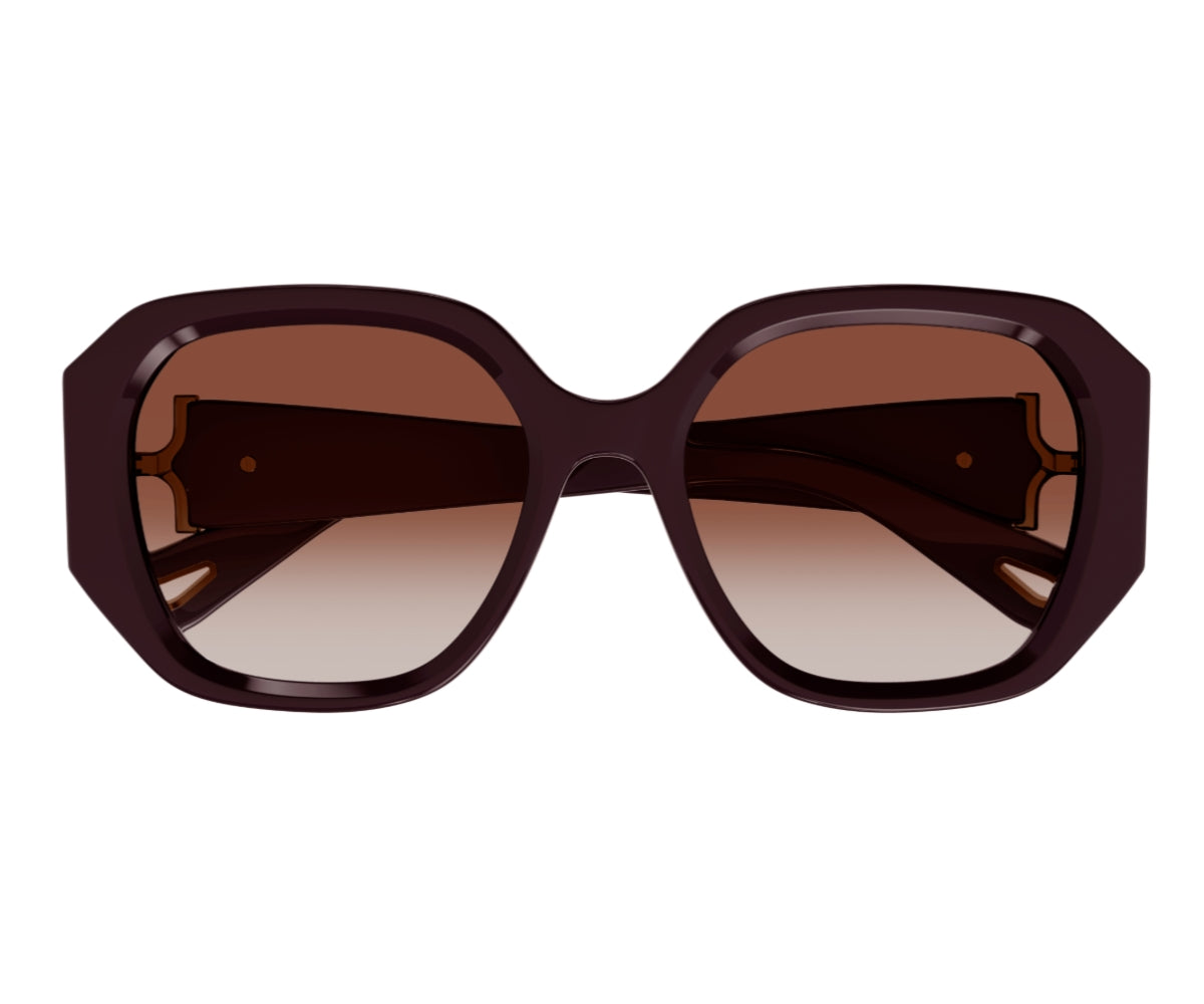 Eye Glasses Chloe Round Oversized Sunglasses Buy Chloe Carlina