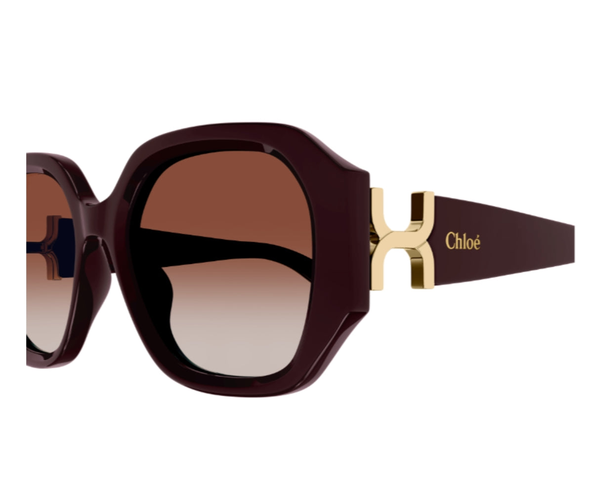 Buy Chloe Sunglasses 0236S 003 56 | GEM OPTICIANS – GEM Opticians