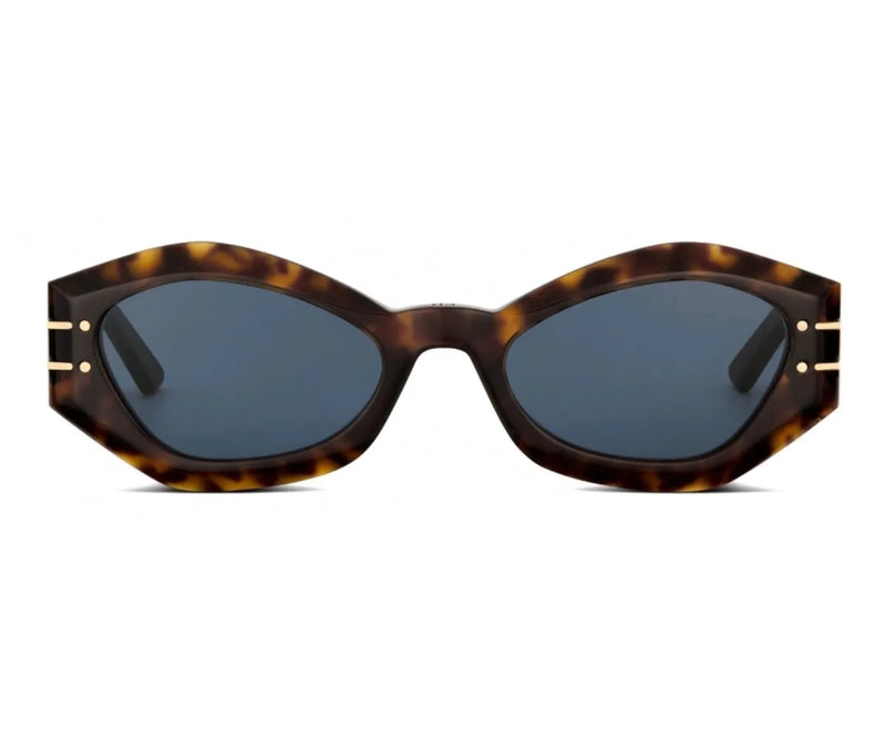 Christian Dior_Sunglasses_Diorsignature B1U_40058U_20B0_55_0