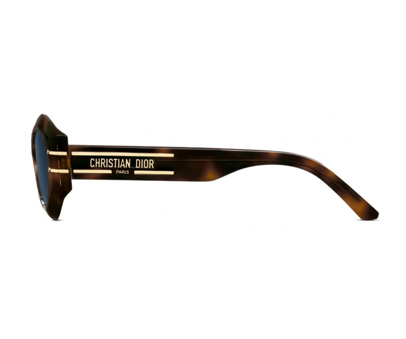 Christian Dior_Sunglasses_Diorsignature B1U_40058U_20B0_55_90