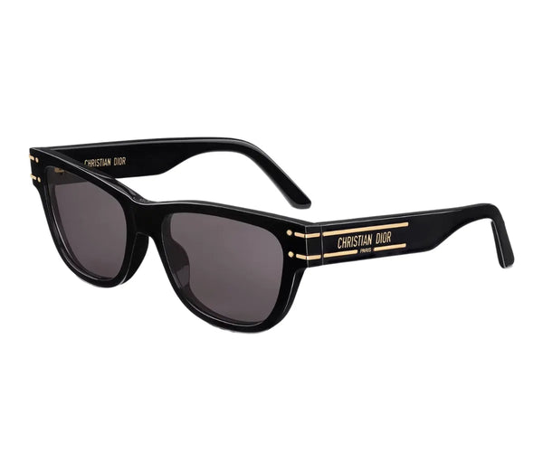 Christian Dior_Sunglasses_Diorsignature S6U_40074U_10A0_54_30