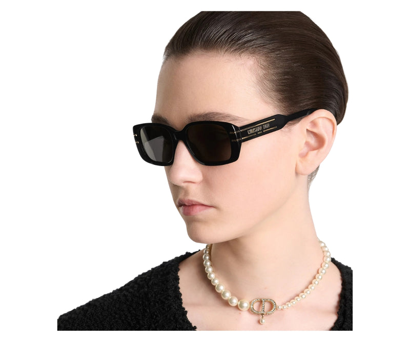 Christian Dior_Sunglasses_DIORSIGNATURE S12I_10A0_53_model 