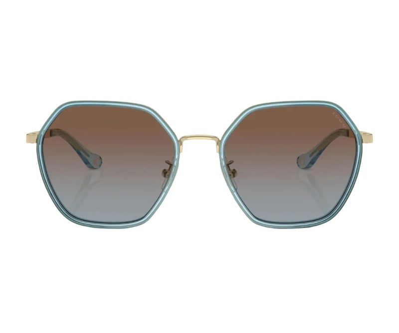 Coach_Sunglasses_7167B_9445/13_56_0