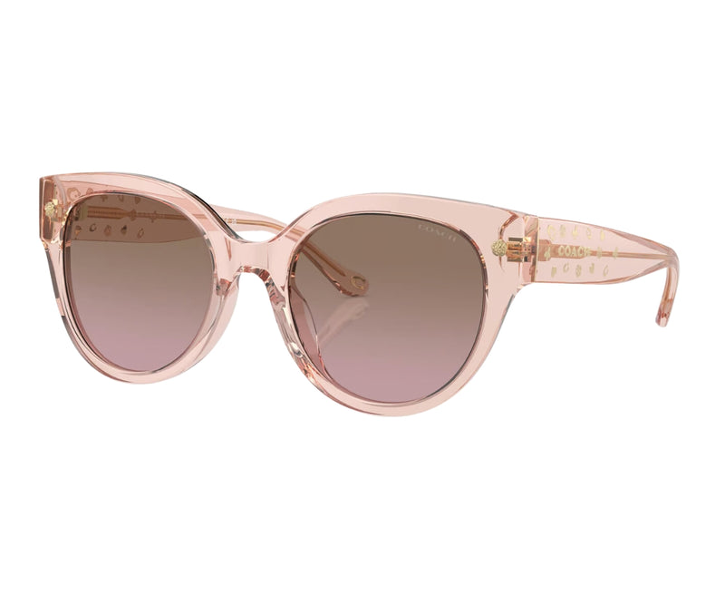 Coach_Sunglasses_8393U_5668/14_53_3045