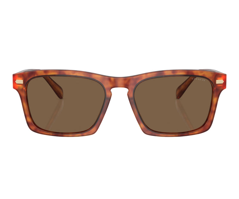 Coach_Sunglasses_8397U_5774/73_57_0