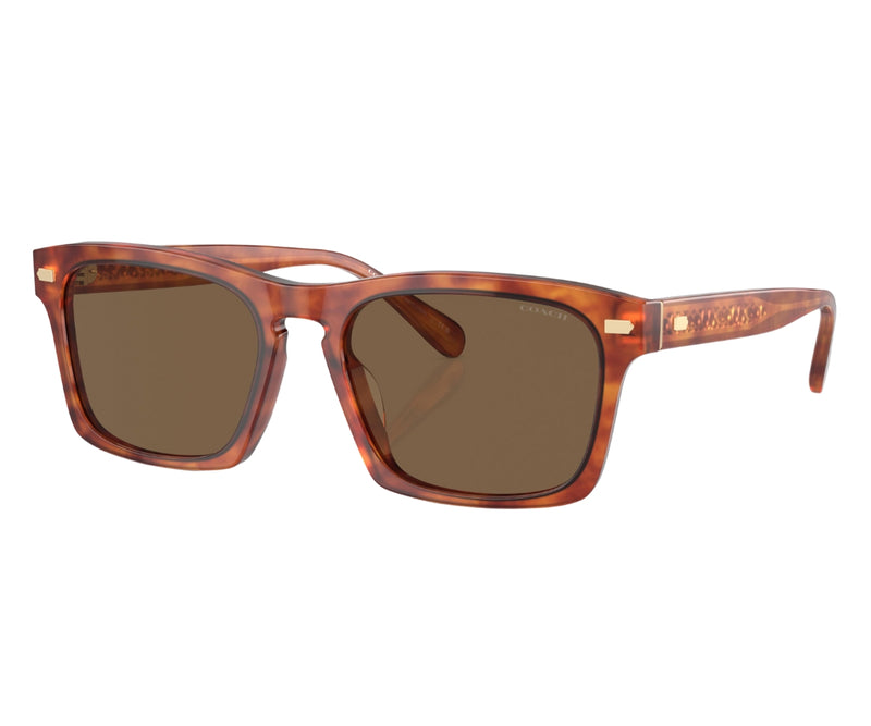 Coach_Sunglasses_8397U_5774/73_57_3045