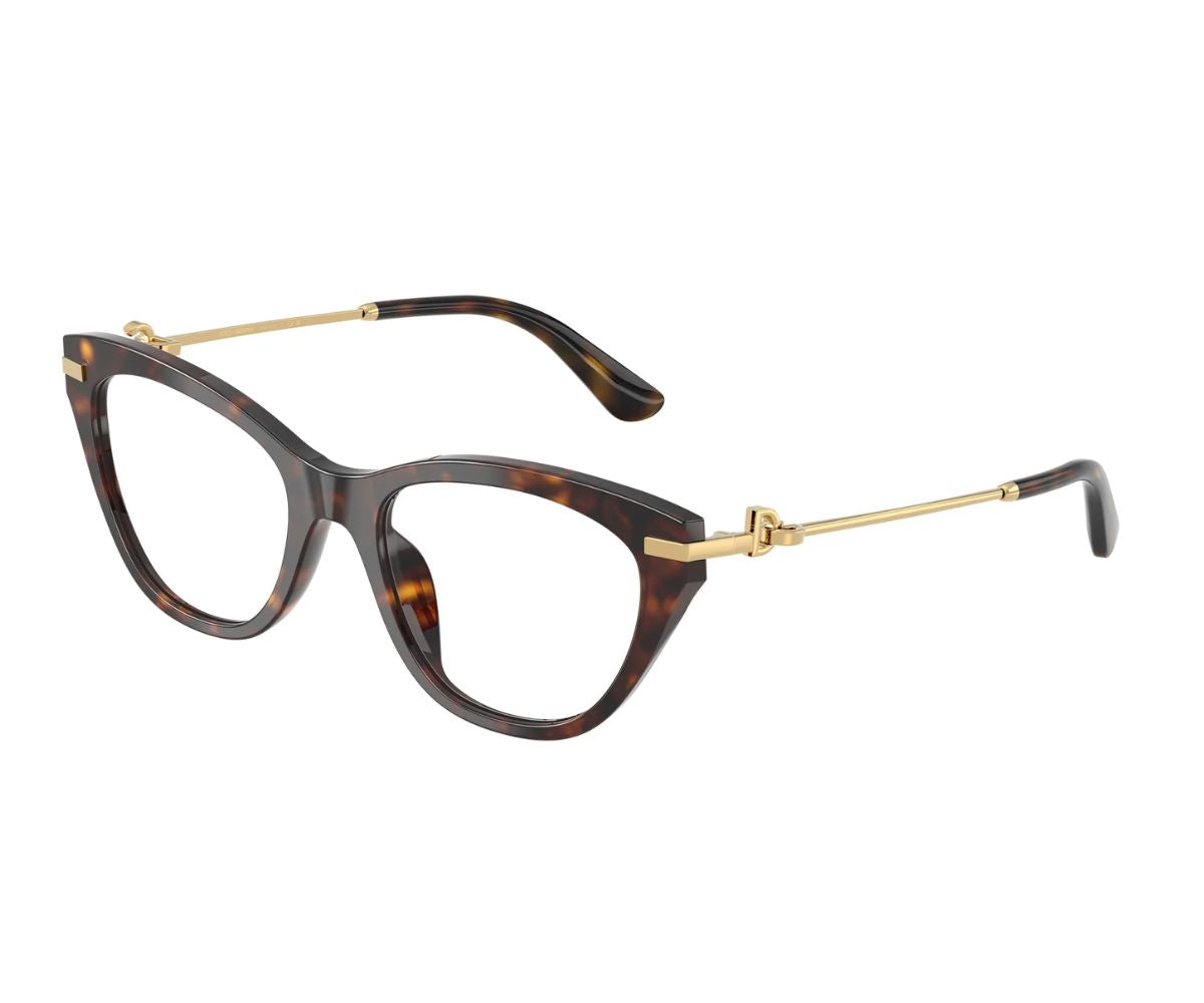 Tortoiseshell cat-eye glasses with gold accents, luxury designer eyewear