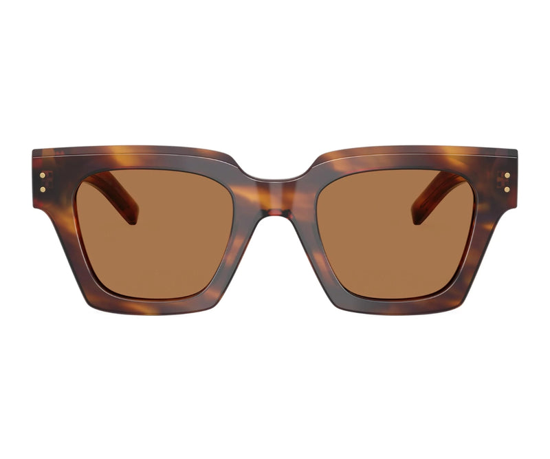 Dolce & Gabbana_Sunglasses_4413_3063/73_48_0