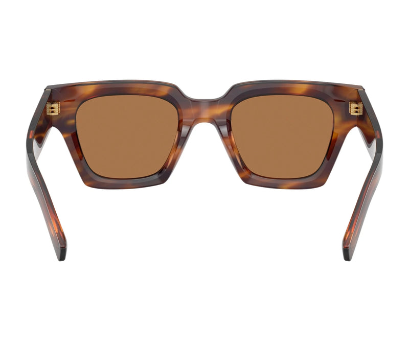 Dolce & Gabbana_Sunglasses_4413_3063/73_48_back lens