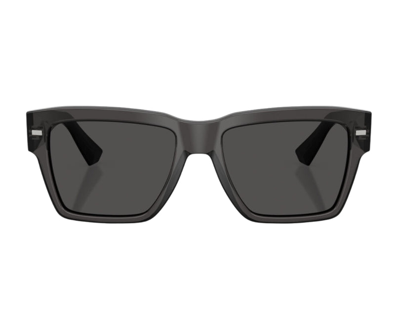 Dolce & Gabbana_Sunglasses_4431_3160/87_55_0