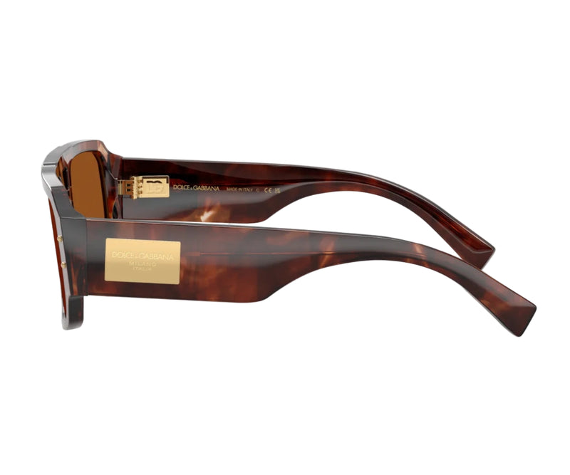 Dolce & Gabbana_Sunglasses_4482_3222/73_57_90
