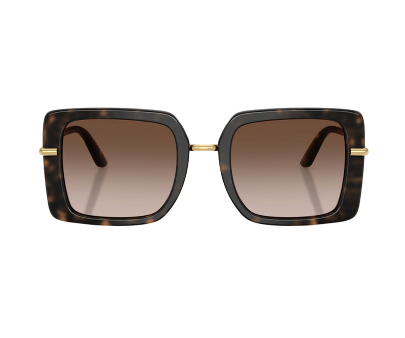 Dolce & Gabbana_Sunglasses_4491_3217/13_52_0