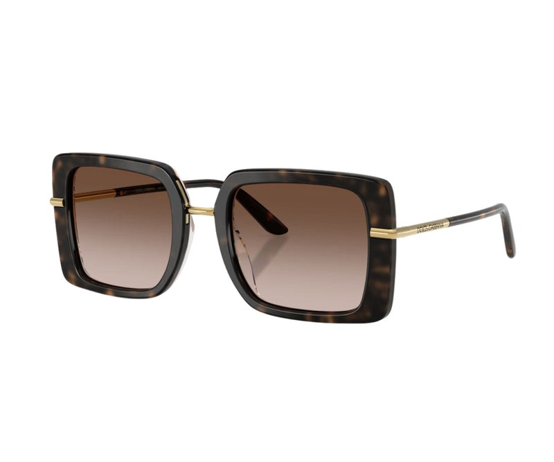 Dolce & Gabbana_Sunglasses_4491_3217/13_52_3045