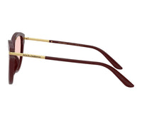 Dolce & Gabbana_Sunglasses_4492_3091/P5_55_90 view 3