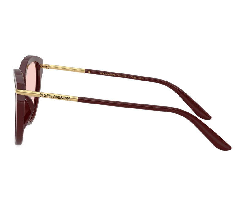 Dolce & Gabbana_Sunglasses_4492_3091/P5_55_90