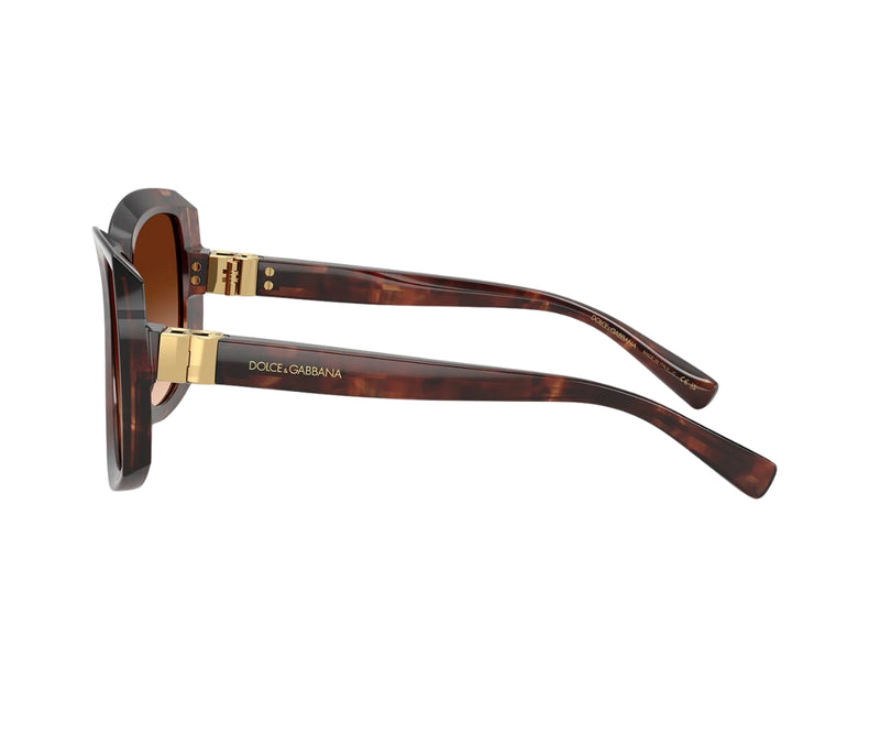 Dolce & Gabbana_Sunglasses_4495_3222/74_56_90