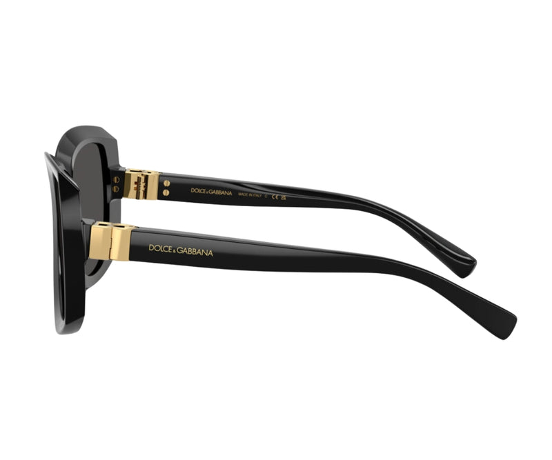 Dolce & Gabbana_Sunglasses_4495_501/87_56_90